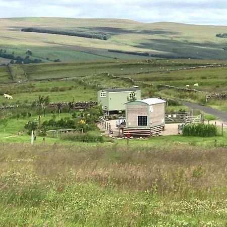 The Buteland Stop Rosie Off Grid Shepherds Hut Bellingham Dış mekan fotoğraf