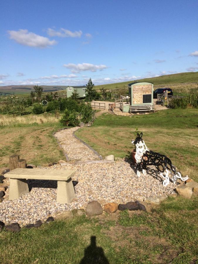 The Buteland Stop Rosie Off Grid Shepherds Hut Bellingham Dış mekan fotoğraf