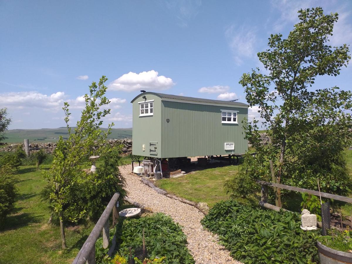 The Buteland Stop Rosie Off Grid Shepherds Hut Bellingham Dış mekan fotoğraf
