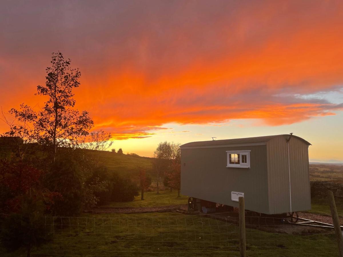 The Buteland Stop Rosie Off Grid Shepherds Hut Bellingham Dış mekan fotoğraf