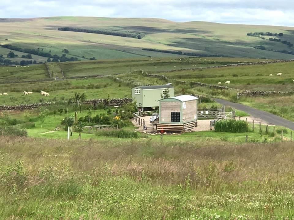 The Buteland Stop Rosie Off Grid Shepherds Hut Bellingham Dış mekan fotoğraf