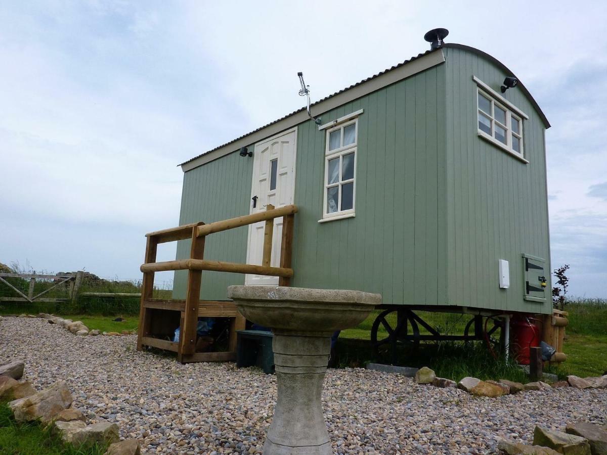 The Buteland Stop Rosie Off Grid Shepherds Hut Bellingham Dış mekan fotoğraf
