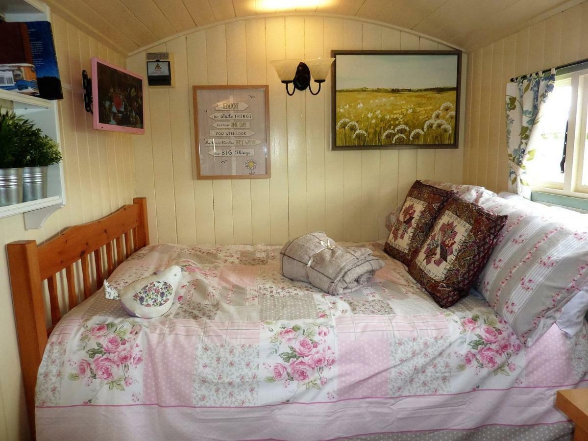 The Buteland Stop Rosie Off Grid Shepherds Hut Bellingham Dış mekan fotoğraf