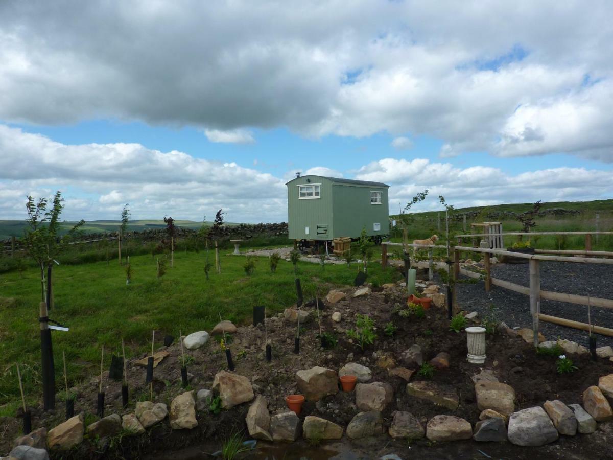 The Buteland Stop Rosie Off Grid Shepherds Hut Bellingham Dış mekan fotoğraf