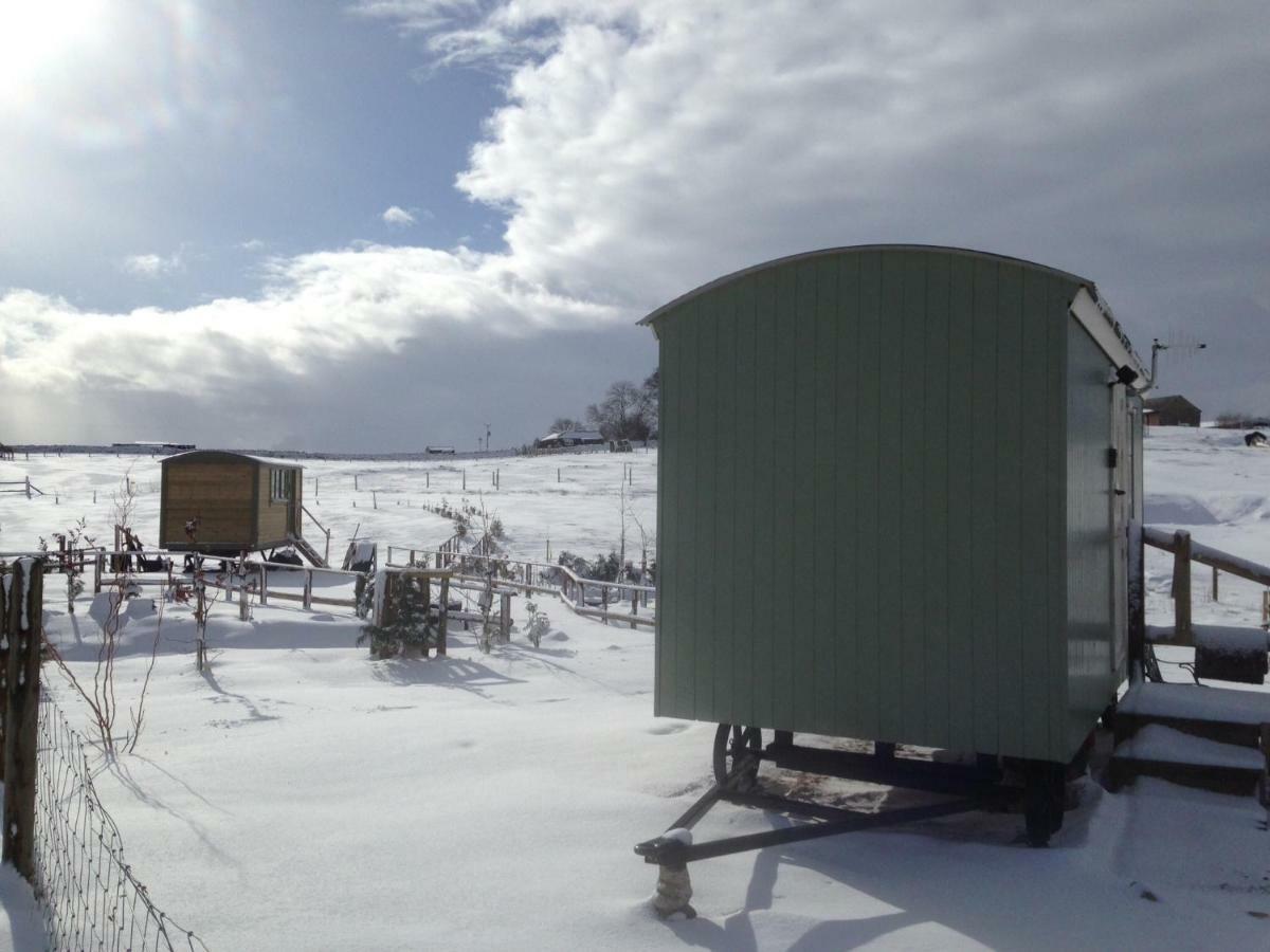 The Buteland Stop Rosie Off Grid Shepherds Hut Bellingham Dış mekan fotoğraf