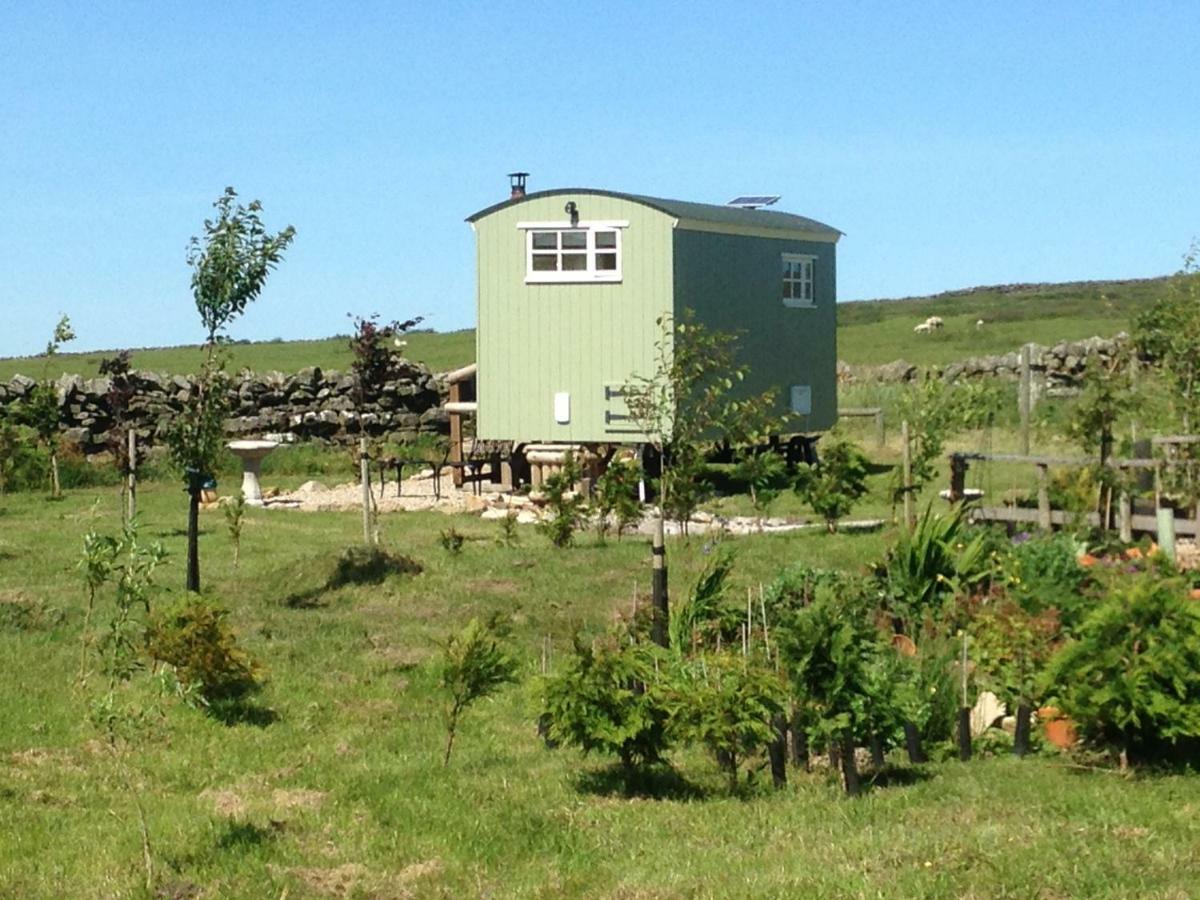 The Buteland Stop Rosie Off Grid Shepherds Hut Bellingham Dış mekan fotoğraf