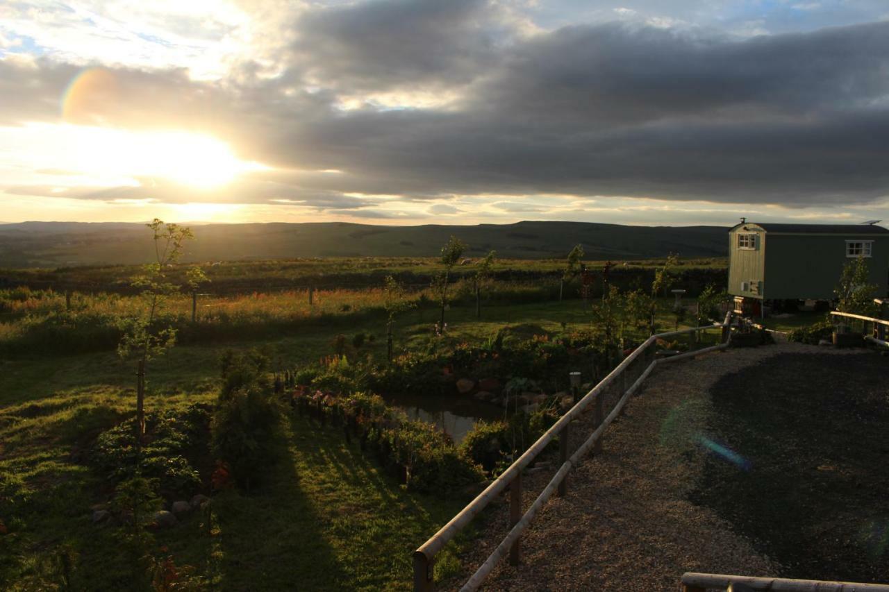 The Buteland Stop Rosie Off Grid Shepherds Hut Bellingham Dış mekan fotoğraf