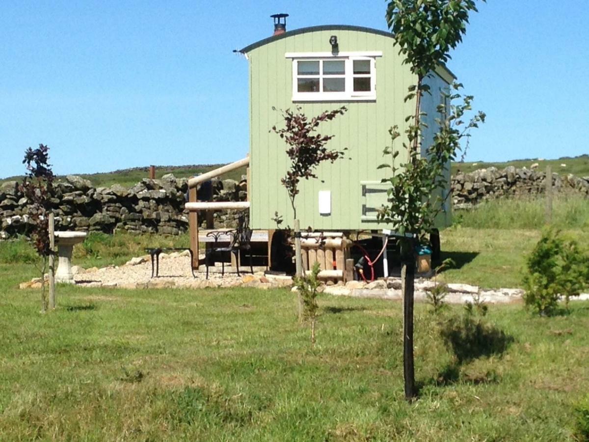 The Buteland Stop Rosie Off Grid Shepherds Hut Bellingham Dış mekan fotoğraf